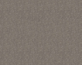 [1001111157_71] Flotex Colour у рулоні - s290023 Calgary espresso